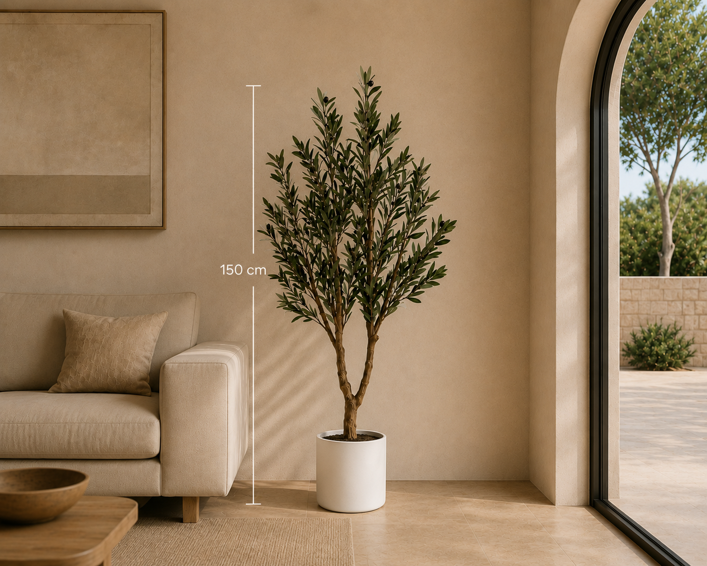 Bellavero Olive Tree