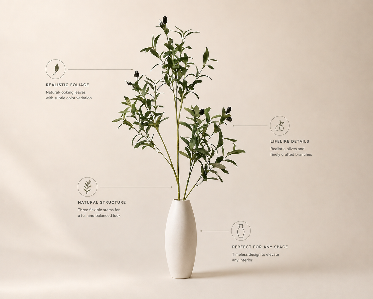 Fiorenza Olive Tree