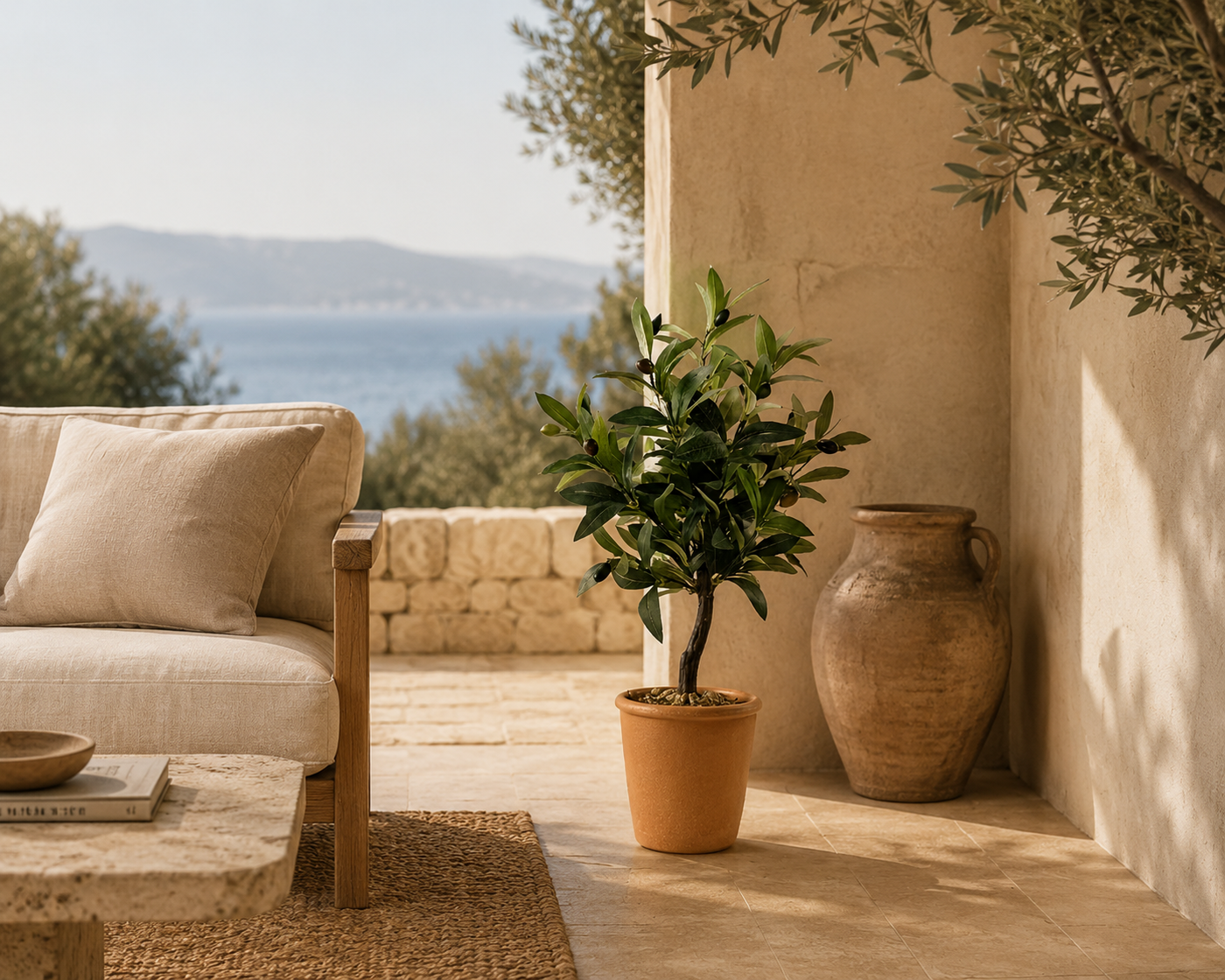 Salvatore Olive Tree