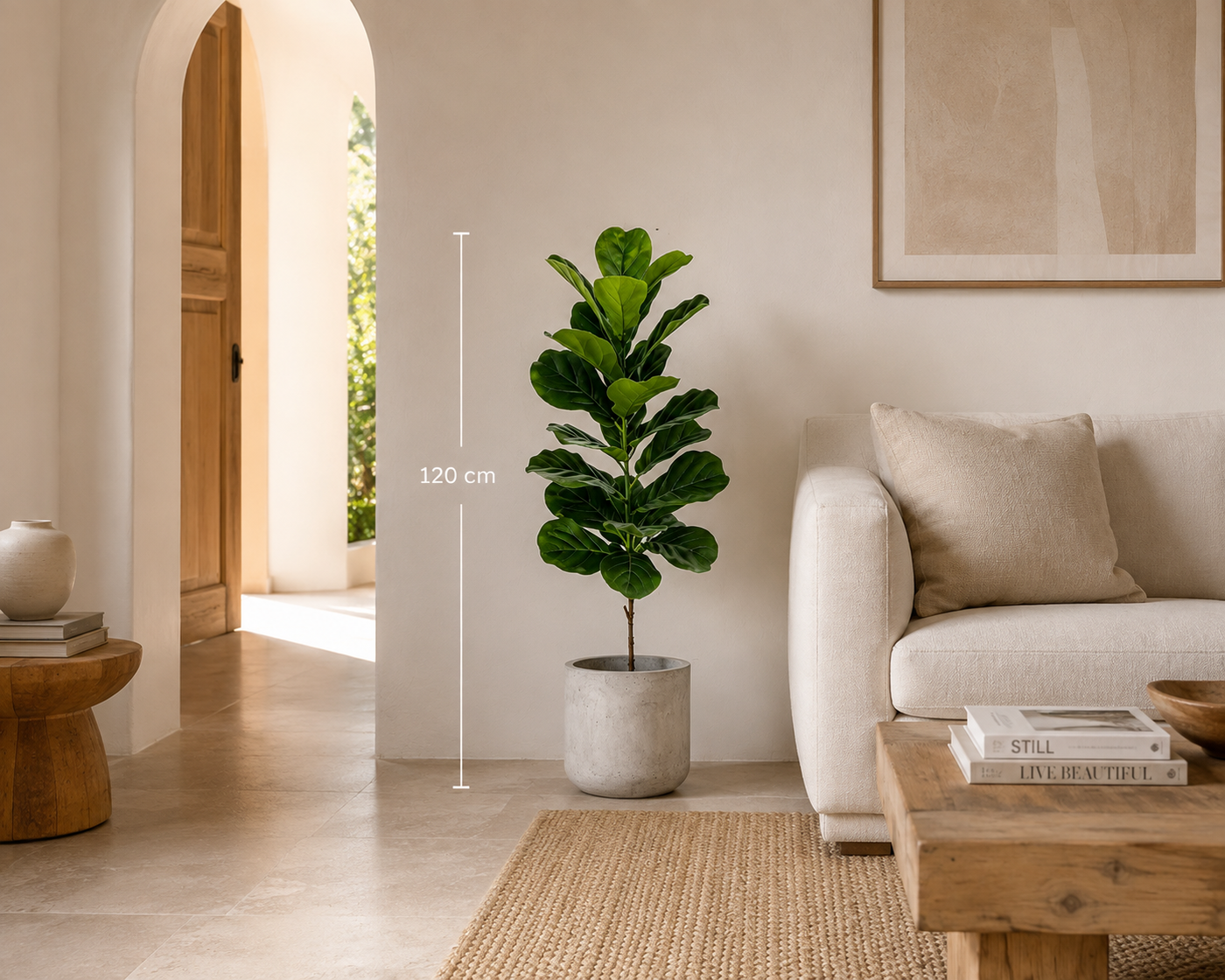 Aurelia Plant