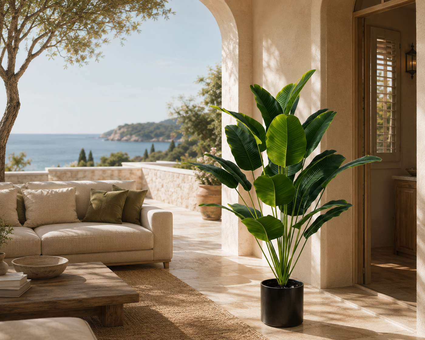 Lorenzo Plant