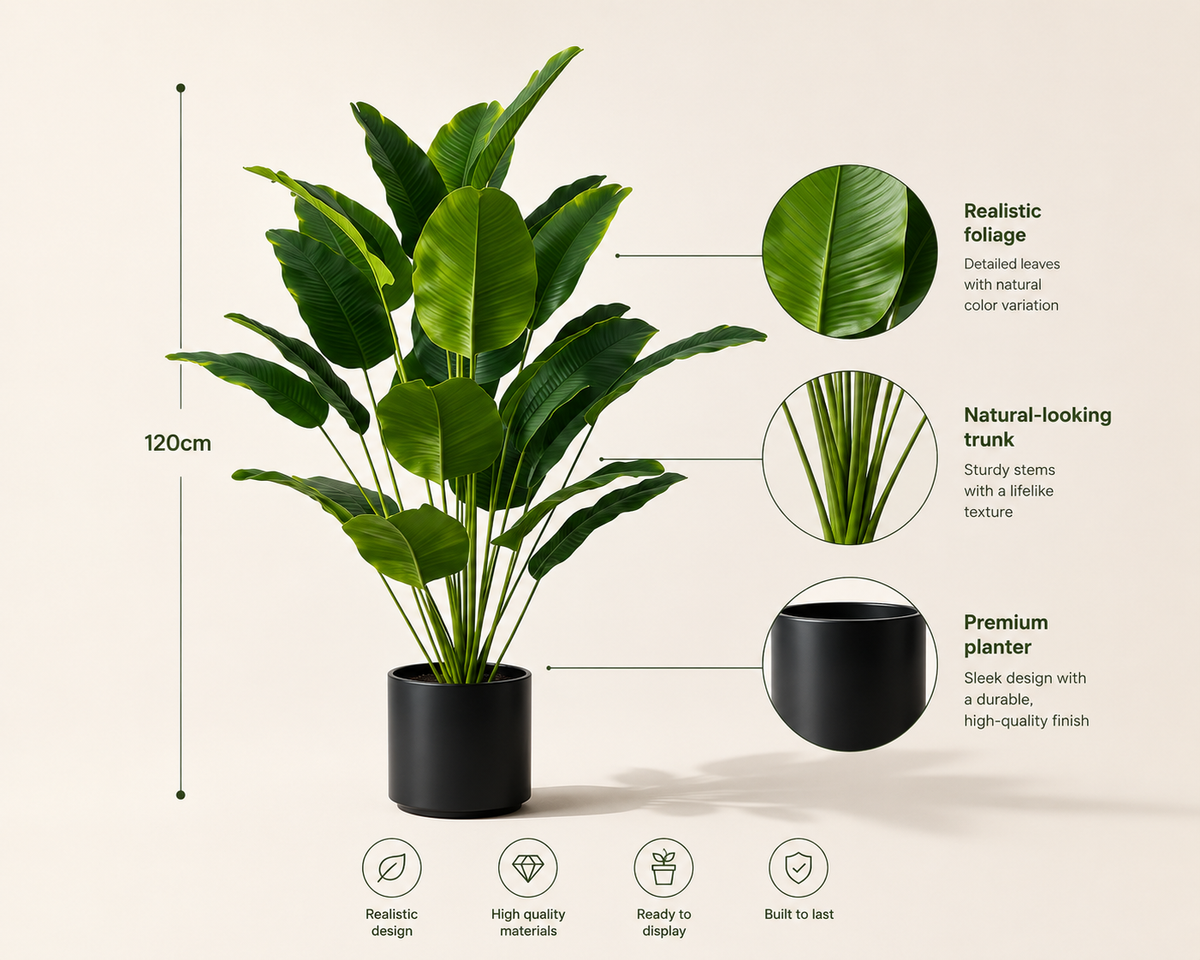 Lorenzo Plant