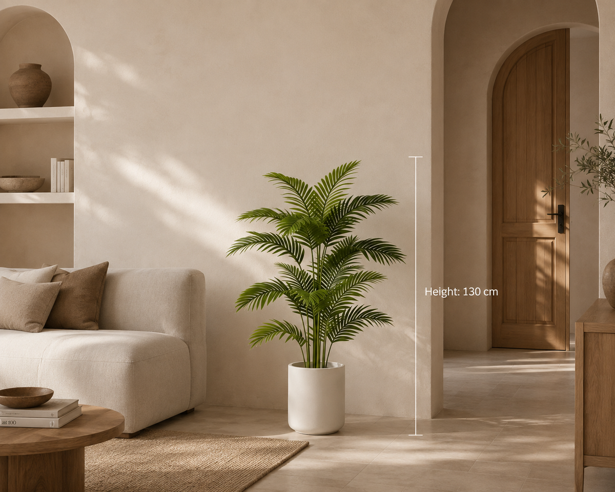 Celestina Plant