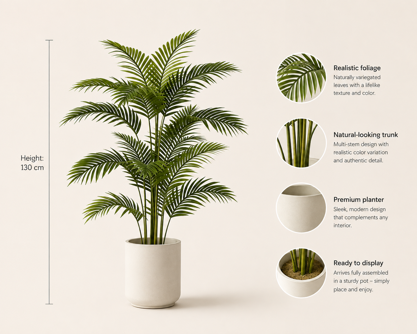 Celestina Plant
