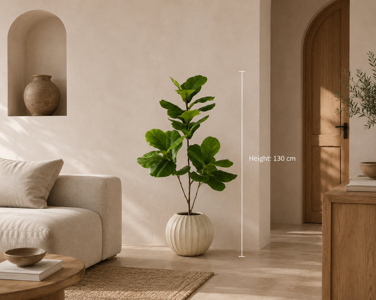 Marcelli Plant