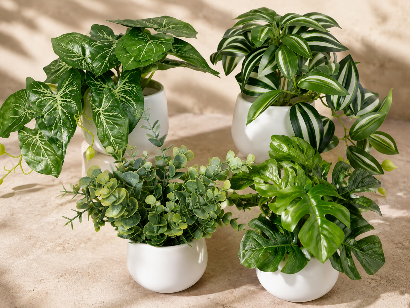 Casa Oliva